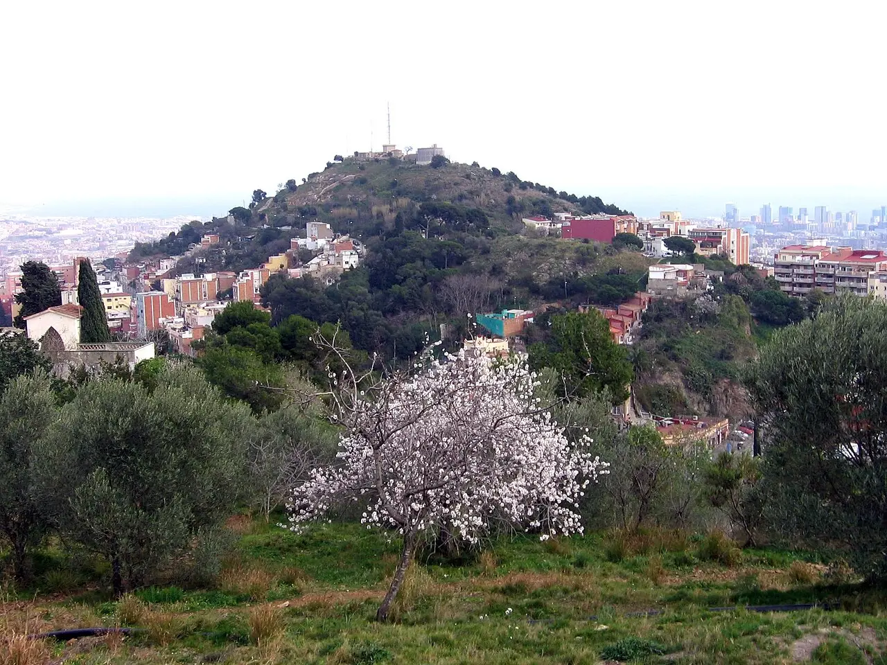 Búnkers del Carmel