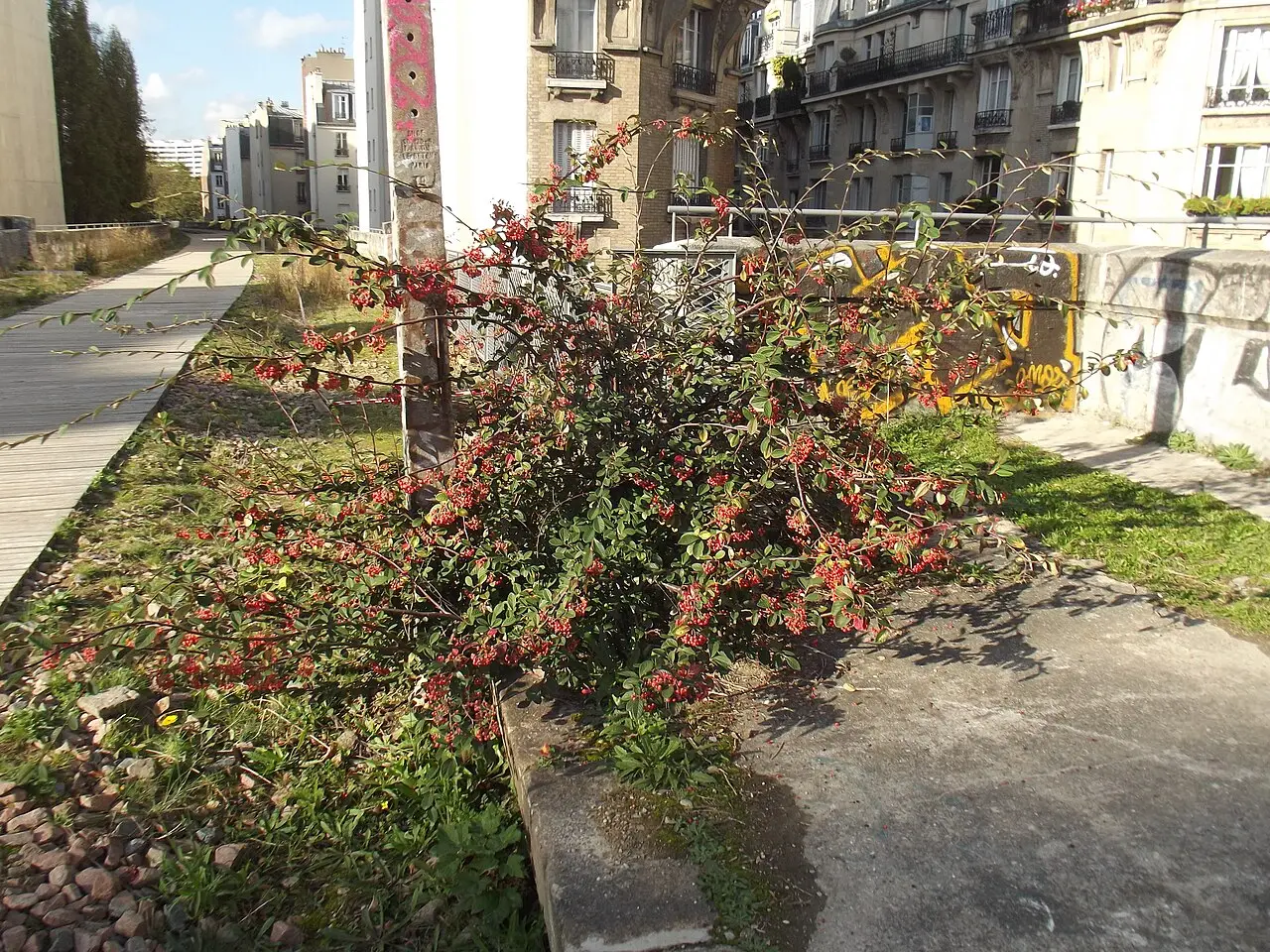 La Petite Ceinture
