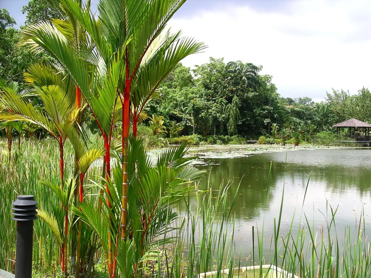 Jardín Botánico