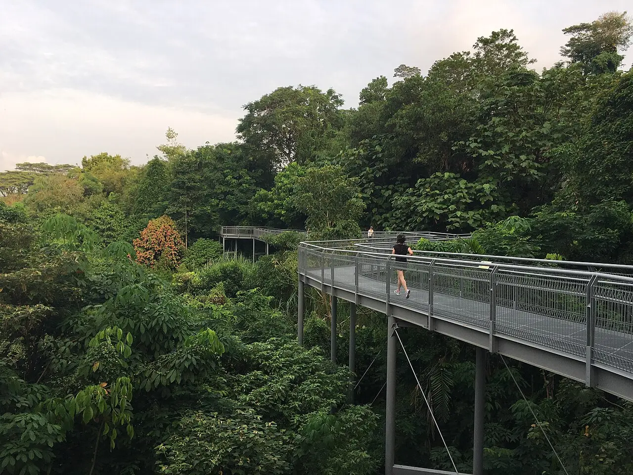 Southern Ridges